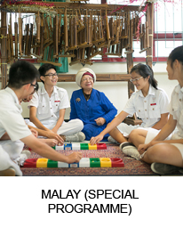MALAY (SPECIAL PROGRAMME)