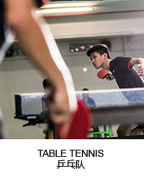 TABLE TENNIS