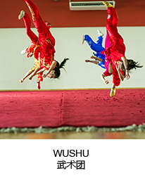 WUSHU